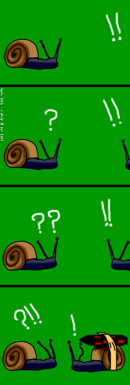 les escargots géants reviennent !